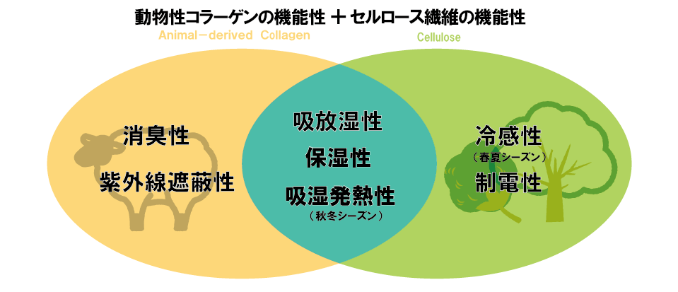 ルナセル繊維機能性